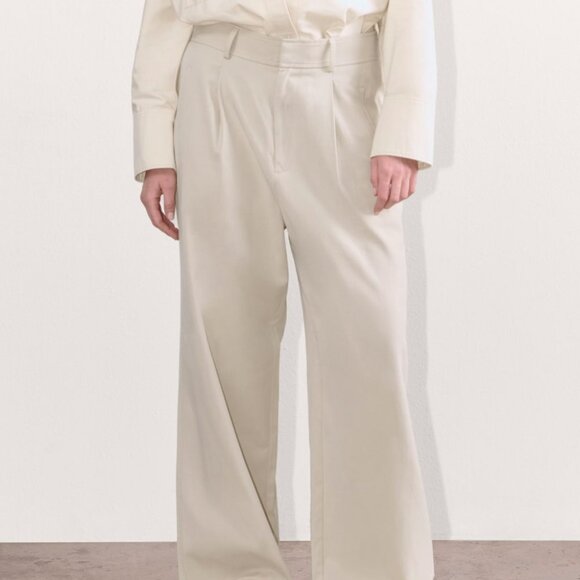 EVERLANE the draper pleated pants in sandstone (12R) - Picture 4 of 16